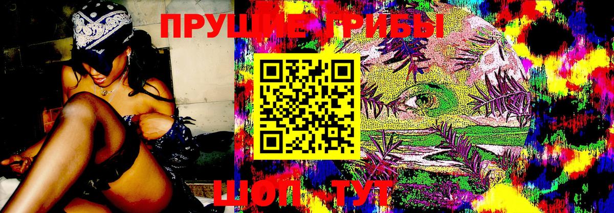Галлюциногенные грибы мухоморы  Вход с VPN  Богородск  Псилоцибиновые грибы мицелий 