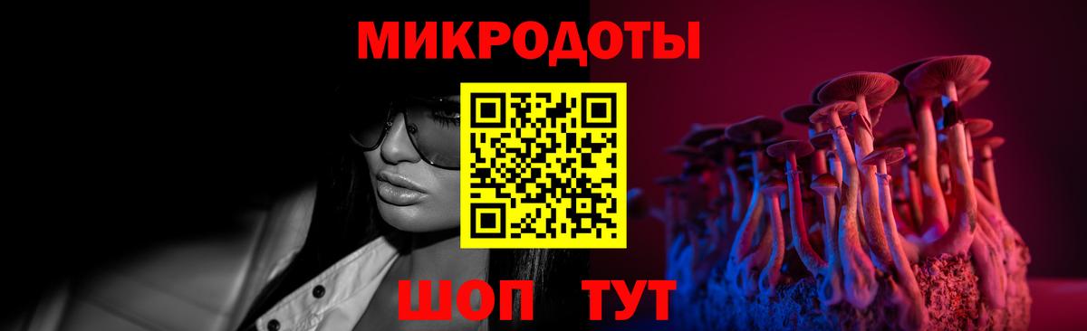 Галлюциногенные грибы Psilocybe Богородск